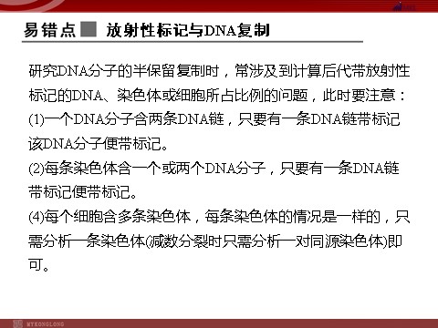 高中生物必修二高效课堂同步课件：章末整合3《基因的本质》（必修2）第10页