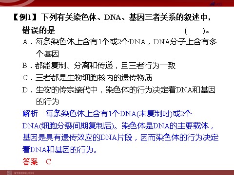 高中生物必修二高效课堂同步课件：章末整合3《基因的本质》（必修2）第3页