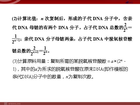 高中生物必修二高效课堂同步课件：章末整合3《基因的本质》（必修2）第5页