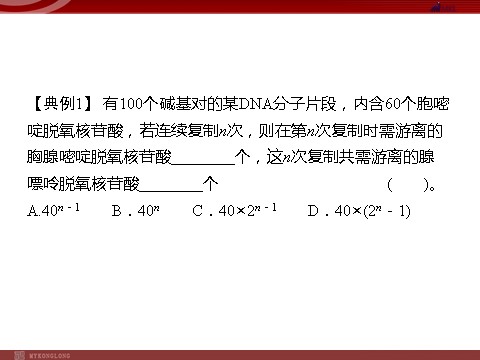 高中生物必修二高效课堂同步课件：章末整合3《基因的本质》（必修2）第8页