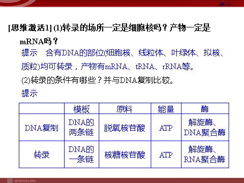 高中生物必修二高效课堂同步课件：4-1基因指导蛋白质的合成（必修2）第6页