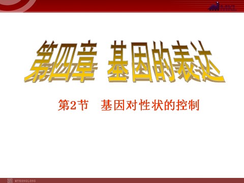 高中生物必修二【人教版】高中生物必修二《 4.2 基因对性状的控制》课件第1页