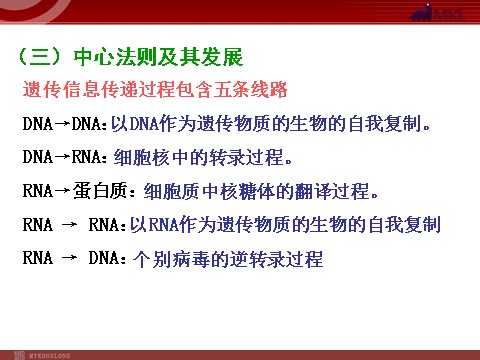 高中生物必修二【人教版】高中生物必修二《 4.2 基因对性状的控制》课件第7页