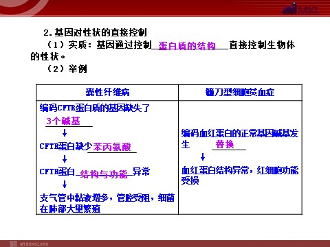 高中生物必修二【人教版】高中生物必修二《 4.2 基因对性状的控制》课件1第5页