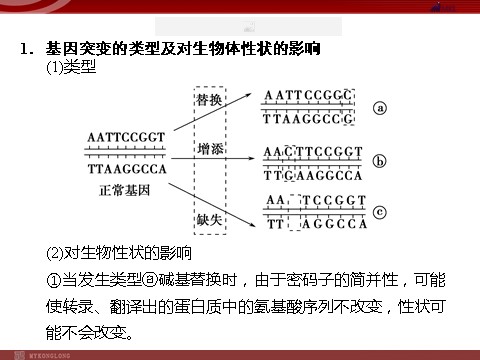 高中生物必修二高效课堂同步课件：5-1基因突变和基因重组（必修2）第9页