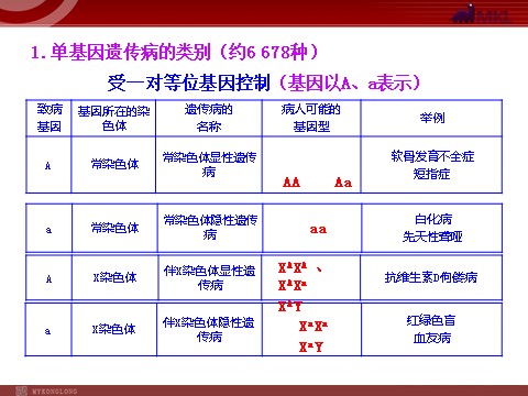 高中生物必修二高中生物同步课件：第5章 第3节  人类遗传病（人教版必修2）第6页