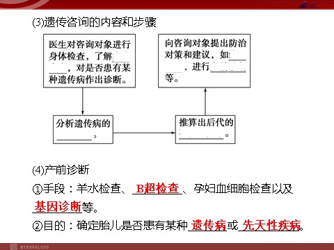 高中生物必修二高效课堂同步课件：5-3人类遗传病（必修2）第10页