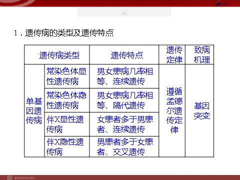 高中生物必修二高效课堂同步课件：5-3人类遗传病（必修2）第5页