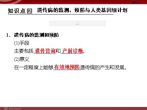 高中生物必修二高效课堂同步课件：5-3人类遗传病（必修2）第9页