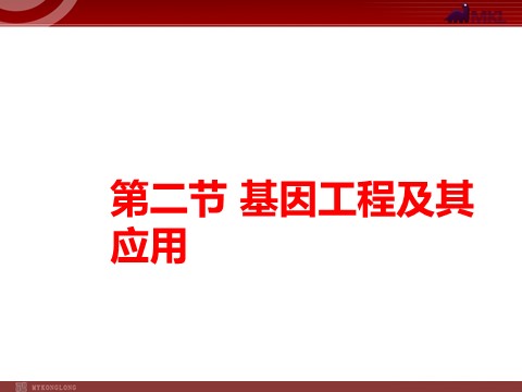 高中生物必修二【人教版】高中生物必修二《 6.2 基因工程及其应用》课件1第1页