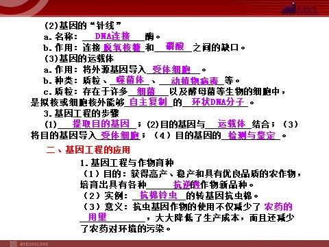 高中生物必修二【人教版】高中生物必修二《 6.2 基因工程及其应用》课件1第3页