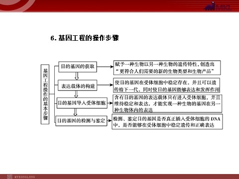 高中生物必修二【人教版】高中生物必修二《 6.2 基因工程及其应用》课件1第8页