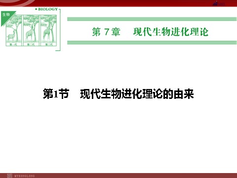 高中生物必修二高效课堂同步课件：7-1现代生物进化理论的由来（必修2）第1页