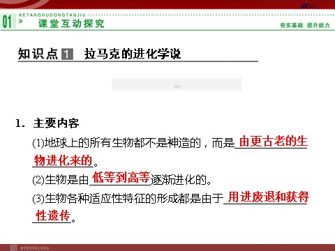 高中生物必修二高效课堂同步课件：7-1现代生物进化理论的由来（必修2）第4页