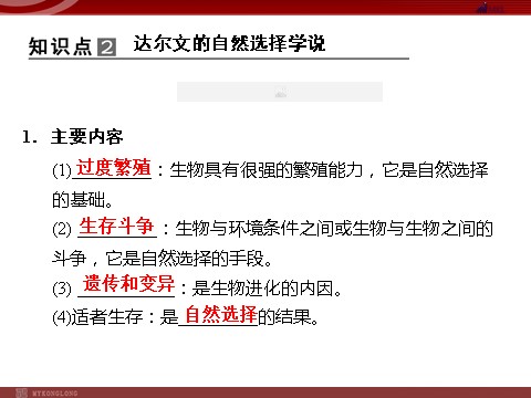 高中生物必修二高效课堂同步课件：7-1现代生物进化理论的由来（必修2）第9页