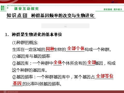 高中生物必修二高效课堂同步课件：7-2现代生物进化理论的主要（必修2）第3页