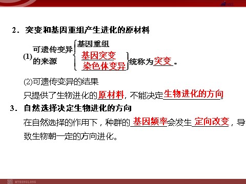 高中生物必修二高效课堂同步课件：7-2现代生物进化理论的主要（必修2）第4页