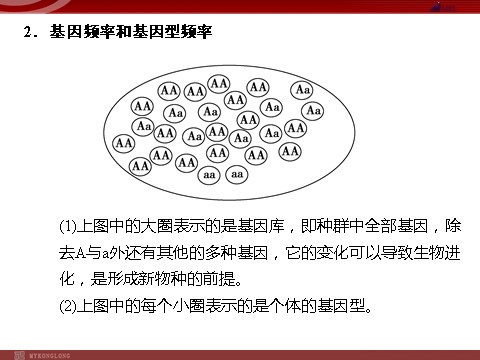 高中生物必修二高效课堂同步课件：7-2现代生物进化理论的主要（必修2）第7页