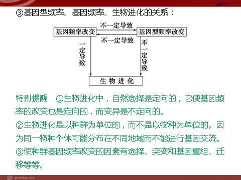 高中生物必修二高效课堂同步课件：7-2现代生物进化理论的主要（必修2）第9页