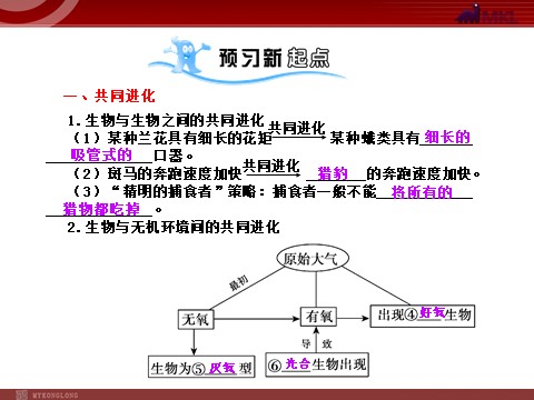 高中生物必修二【人教版】高中生物必修二《 7.2.3 共同进化与生物多样性的形成》课件1第2页