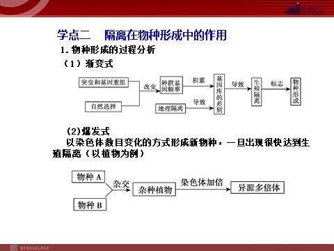 高中生物必修二【人教版】高中生物必修二《 7.2.2 隔离与物种的形成》课件1第8页