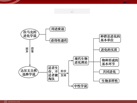 高中生物必修二高效课堂同步课件：章末整合7《现代生物进化理论》（必修2）第2页