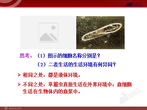 高中生物必修三高中生物PPT授课课件（人教版必修3）1.1细胞生活的环境第5页