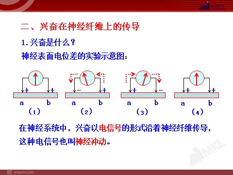 高中生物必修三高中生物PPT授课课件（人教版必修3）2.1通过神经系统的调节第9页