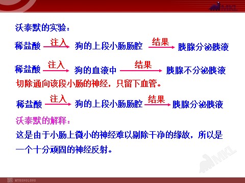 高中生物必修三高中生物PPT授课课件（人教版必修3）2.2通过激素的调节第5页