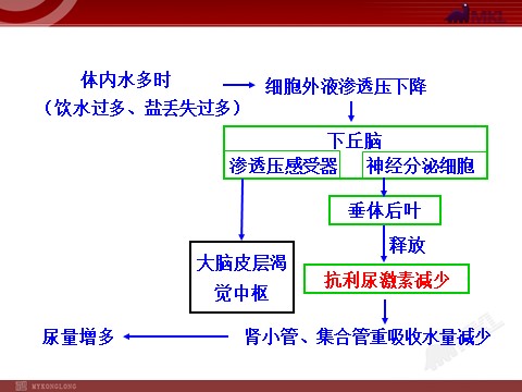 高中生物必修三高中生物PPT授课课件（人教版必修3）2.3神经调节与体液调节的关系第10页