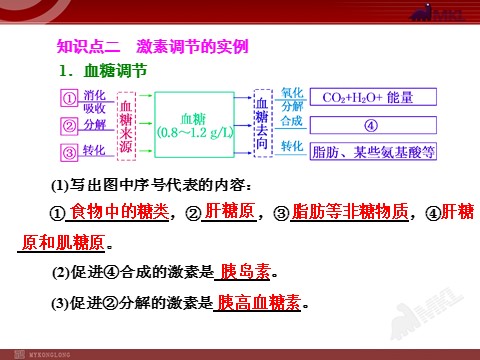 高中生物必修三第3讲  激素调节及其与神经调节的关系第3页