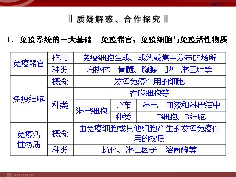 高中生物必修三高效课堂同步课件：2-4免疫调节（必修3）第6页