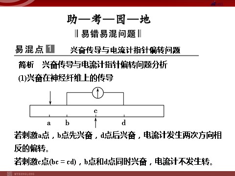 高中生物必修三高效课堂同步课件：2章末整合《动物和人体生命活动的调节》（必修3）第6页