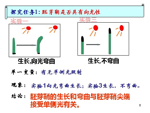 高中生物必修三必修3 稳态与环境3.1植物生长素的发现(24张)第5页