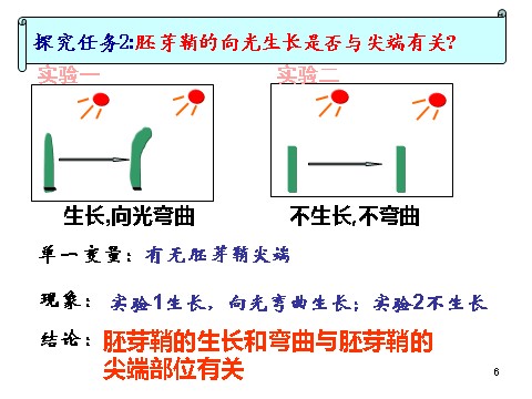 高中生物必修三必修3 稳态与环境3.1植物生长素的发现(24张)第6页