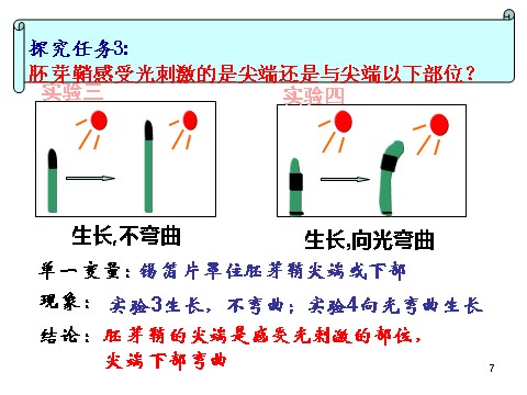 高中生物必修三必修3 稳态与环境3.1植物生长素的发现(24张)第7页