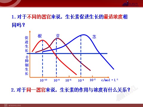 高中生物必修三高中生物PPT授课课件（人教版必修3）3.2生长素的生理作用第7页