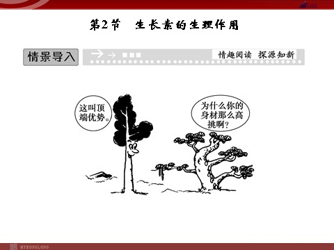 高中生物必修三高效课堂同步课件：3-2生长素的生理作用（必修3）第1页