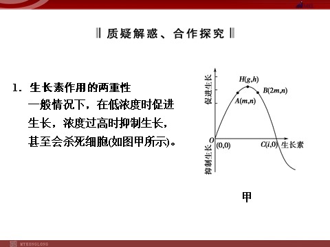 高中生物必修三高效课堂同步课件：3-2生长素的生理作用（必修3）第7页