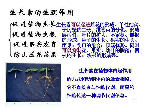 高中生物必修三必修3 稳态与环境3.2生长素的生理作用(28张)第4页