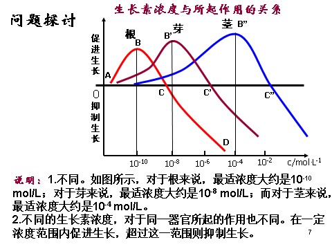 高中生物必修三必修3 稳态与环境3.2生长素的生理作用(28张)第7页