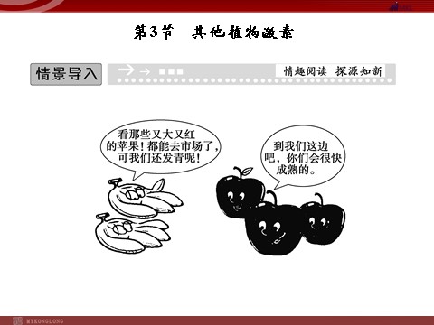 高中生物必修三高效课堂同步课件：3-3其他植物激素（必修3）第1页