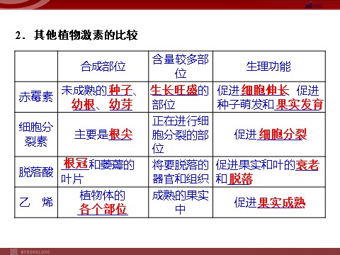 高中生物必修三高效课堂同步课件：3-3其他植物激素（必修3）第4页