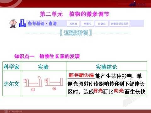 高中生物必修三第2单元  植物的激素调节第1页