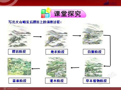 高中生物必修三高中生物PPT授课课件（人教版必修3）4.4群落的演替第4页