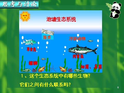 高中生物必修三必修3 稳态与环境5.1生态系统的结构（35张）第6页