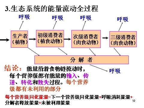 高中生物必修三必修3 稳态与环境5.2生态系统的能量流动（33张）第10页