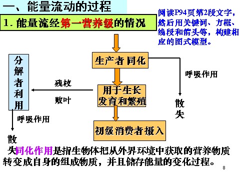 高中生物必修三必修3 稳态与环境5.2生态系统的能量流动（33张）第8页