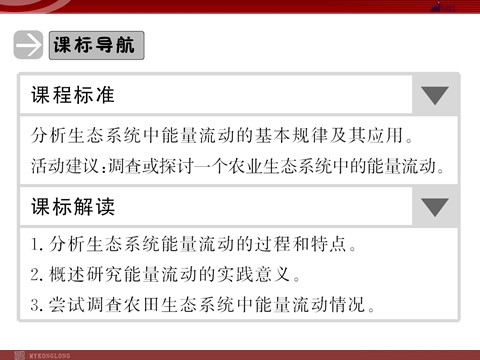 高中生物必修三高效课堂同步课件：5-2生态系统的能量流动（必修3）第2页