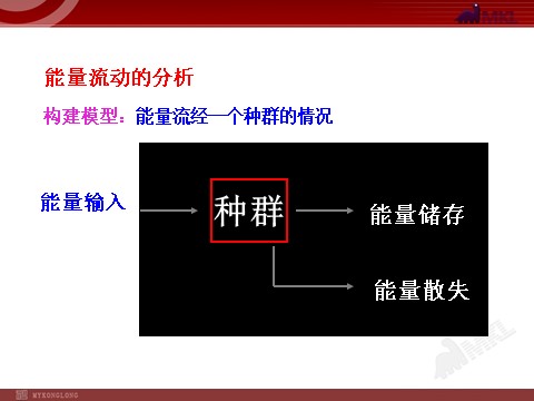 高中生物必修三高中生物PPT授课课件（人教版必修3）5.2生态系统的能量流动第5页